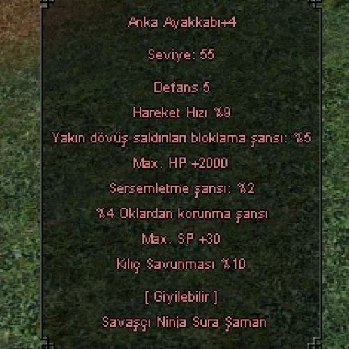  5 EFSUN ANKA AYAKKABI